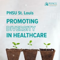 Diversity in Healthcare | PHSU St. Louis